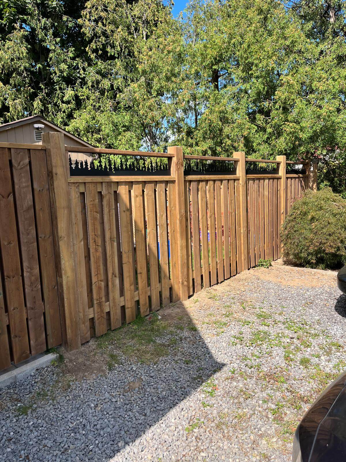 Backyard Privacy Fence