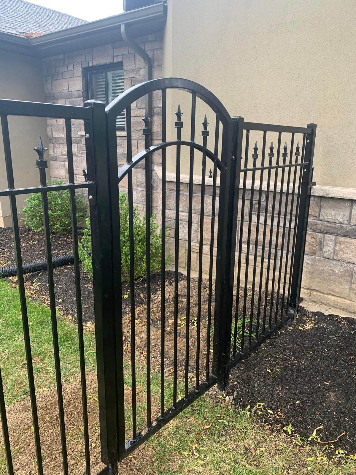 Backyard Privacy Fence